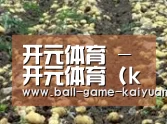 种植基地七