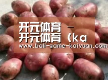 产品展示标题5(图1)