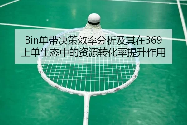 Bin单带决策效率分析及其在369上单生态中的资源转化率提升作用